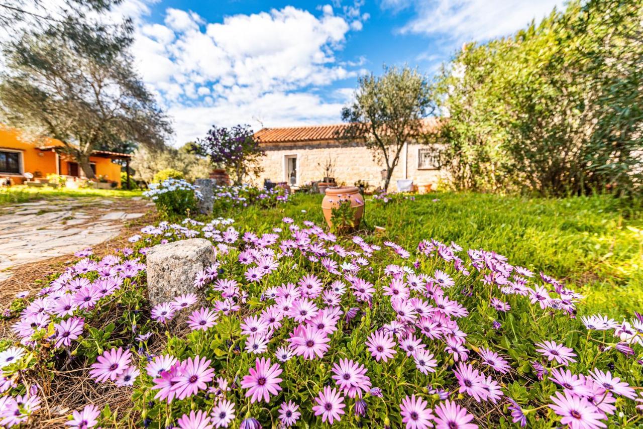 Casa Lilliosa Villa Campavaglio Ngoại thất bức ảnh